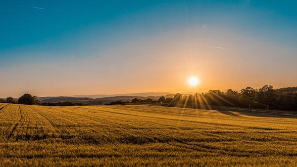 Agriculture Solar
